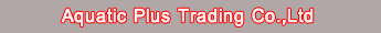 freshwater tropical fish trading and exporter from Thailand