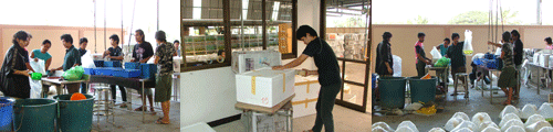 Packing Area